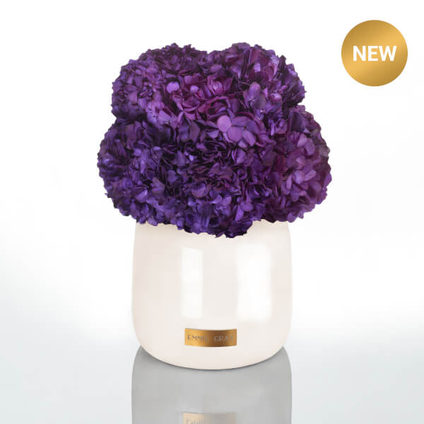 Premium Metallic Signature Hydrangea Infinity | Velvet Plum | L